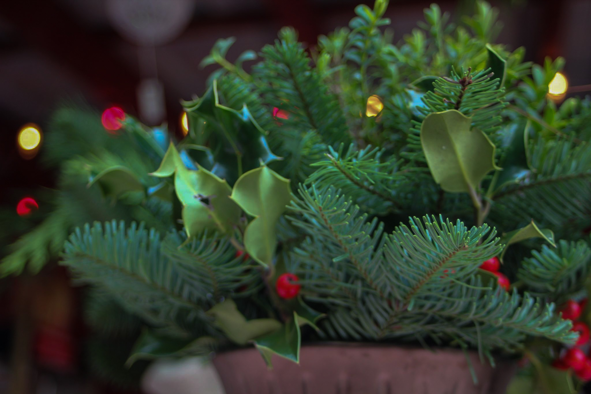 Winter wonderland at The Family Tree